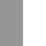 Gris y blanco
