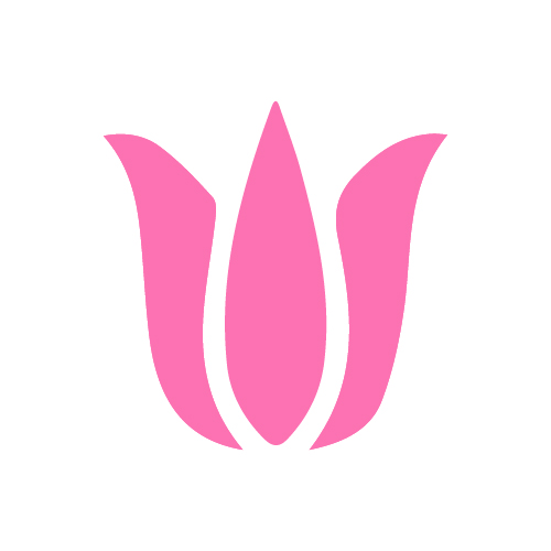 WeCreativez WhatsApp Support